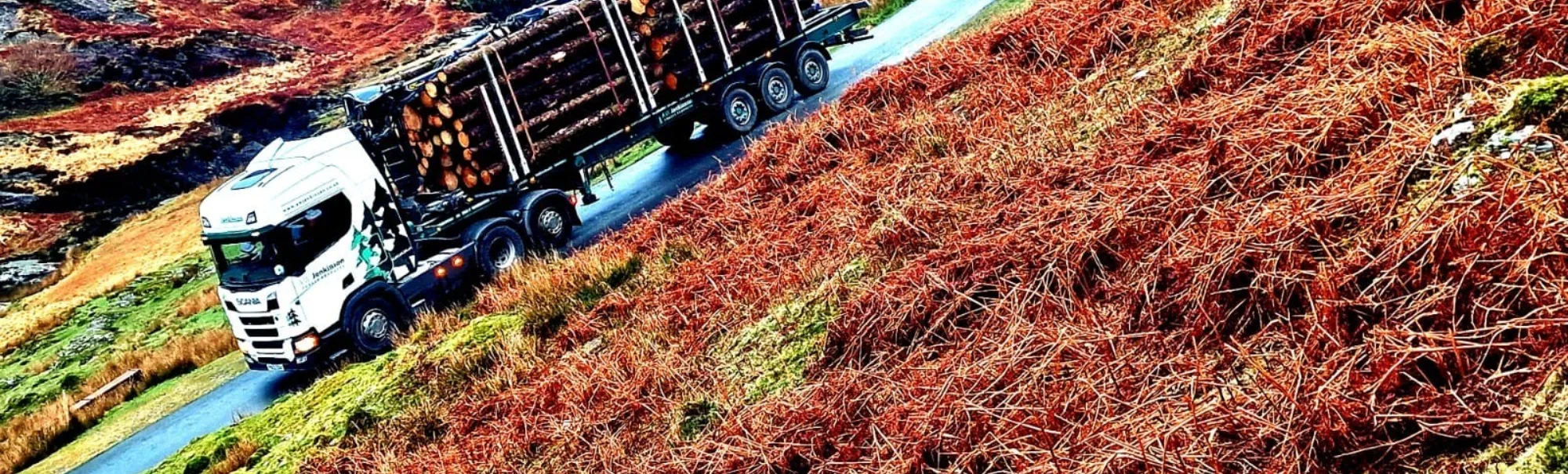 Timber on a skeletal trailer travelling down the road on a rainy day