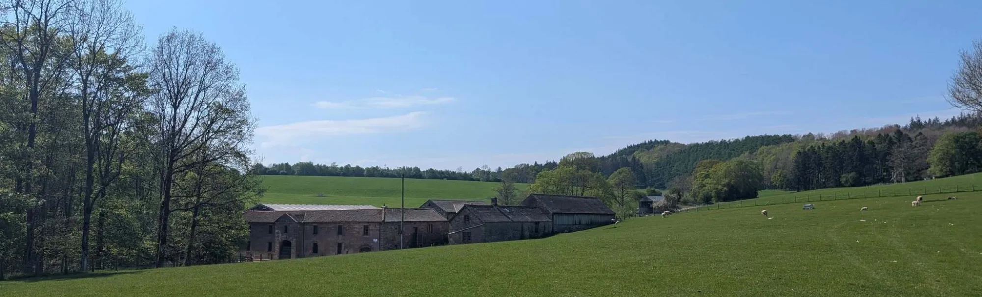 Lush green field at Greystoke in Cumbria with blue sky
