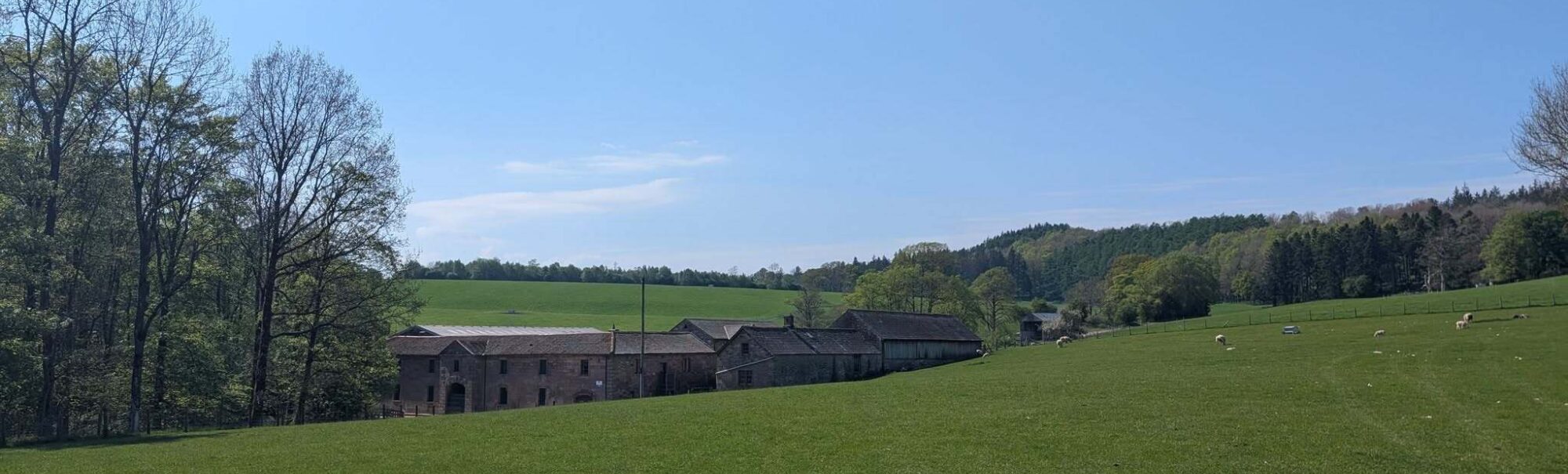 Lush green field at Greystoke in Cumbria with blue sky